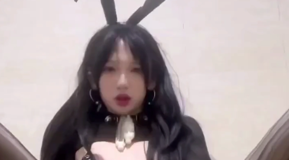 【伪娘】小兔子白又白两只耳朵竖起来