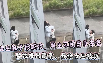 女生肚子被蛇咬，男生不顾自身安危 替她吸出毒素，最终女生被救