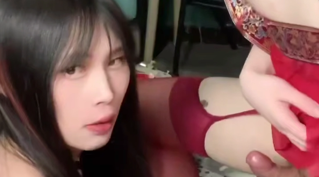 【伪娘】吃喵喵棒