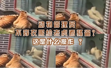 动物管理员不穿衣服给老虎看骚逼这是什么操作